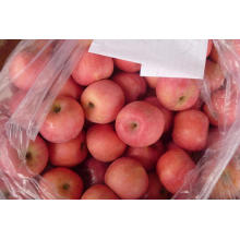 New Crop Fresh Apple Qixia Apple